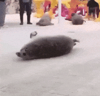sooo GIF