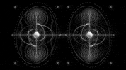 Black And White Nft GIF by A. L. Crego