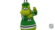 Ice Hockey Sport GIF by NHL