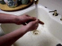 weenie GIF