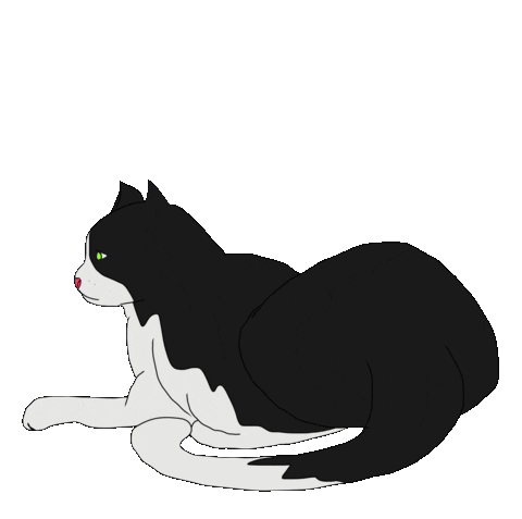 jexican giphyupload love cat baby Sticker