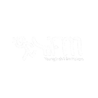 Yifm Sticker by Young Irish Film Makers