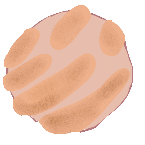 Breakfast Love Sticker