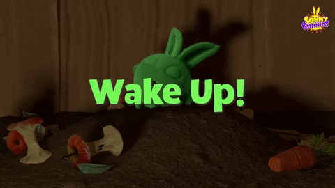 Scared Good Morning GIF by Sunny Bunnies