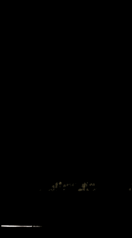 nhvracov giphyupload nhvracov GIF