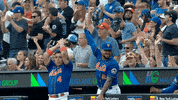 Major League Baseball Sport GIF by New York Mets