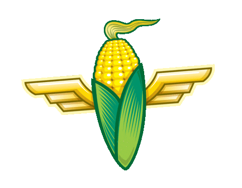 cornfest giphyupload corn fest cornfest brookshauser Sticker