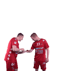Wilhelmshaven Whv Sticker by whvhandball
