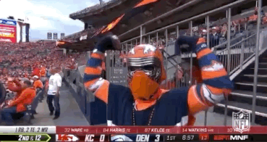 2018 Nfl Football GIF by NFL