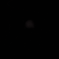 leather wallet GIF by JourneyStartsHere