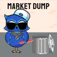 Crypto Owl GIF by BigBrains
