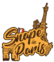 France Paris Sticker by SNAPE