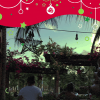 GIF by Beach Park