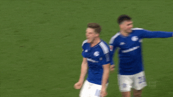 Happy Football GIF by FC Schalke 04