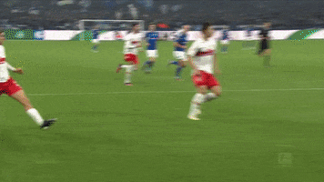Football Wow GIF by FC Schalke 04