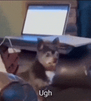 Ew Ugh GIF
