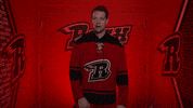 Goaltender GIF by Rapid City Rush