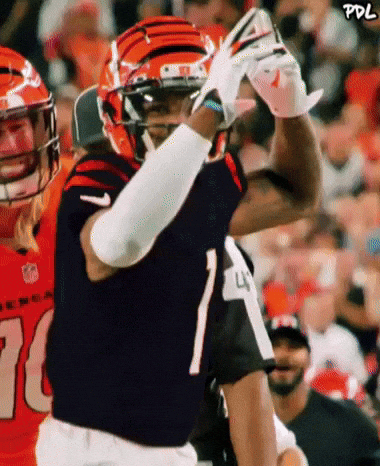 Chase Bengals GIF by The Undroppables