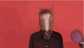 Seo Horse Luis GIF by Kiwosan