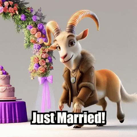 Just Married Wedding GIF by Radiantelope