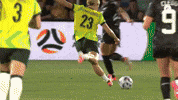 Goal Kcc GIF by Football Australia