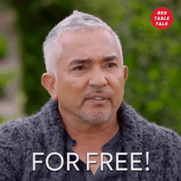 adrienne banfield-jones GIF by Red Table Talk