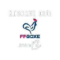 Mma Finale Sticker by Chez Switch