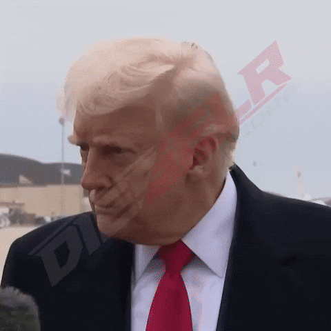 Trump Usa GIF by dieselrcorp