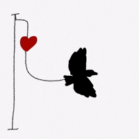 Sick Black Bird GIF by Barbara Pozzi