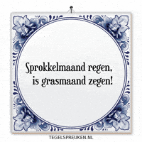 Humor Nl GIF by Tegelspreuken.nl