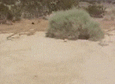 Sorry Alan GIF