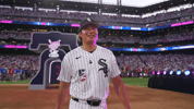 White Sox Boxing GIF by MLB