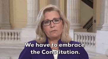 Liz Cheney GIF by GIPHY News