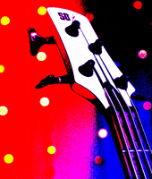 TRUMANVISUALS music rock bass rockstar GIF