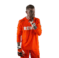 1 Fc Cologne Bundesliga Sticker by 1. FC Köln
