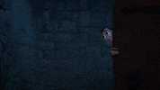 Drac GIF by Hotel Transylvania