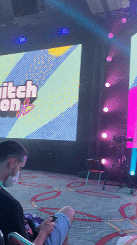 Video Games Twitch GIF