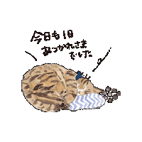 Cat ねこ Sticker