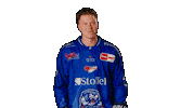 Tigershockey Sticker by Straubing Tigers