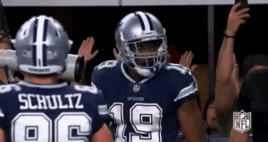 2018 Nfl Football GIF by NFL