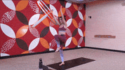 GIF by Dfly