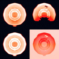 Loop Visuals GIF by jaydr.1