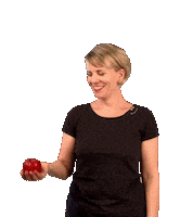 FRAMEPHOTOGRAPHY fly apple anne froehlich Sticker