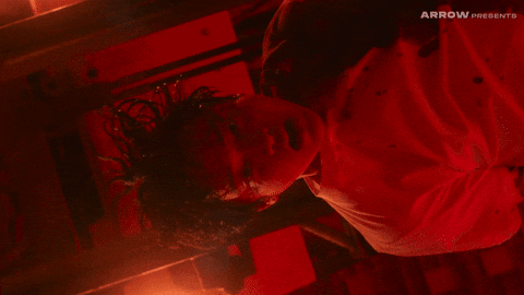 Oh No Zoom GIF by Arrow Video