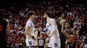 Excited College Hoops GIF by Northwestern Athletics