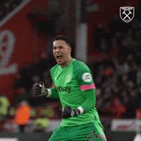 Happy Premier League GIF by West Ham United