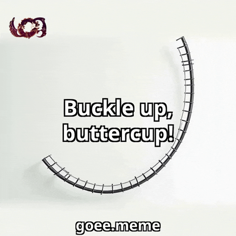 Ride Excitement GIF by Goeememe