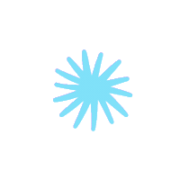 Star Shine Sticker