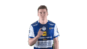 Handball-Bundesliga Sport Sticker by LIQUI MOLY HBL