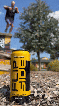 Flipside GIF